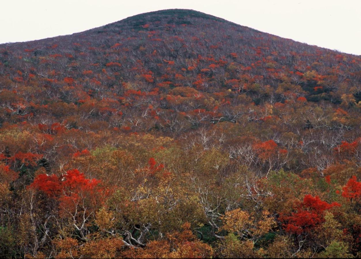 Ny Building 4Th Floor, Guest House Ichibangai, Roo / Vacation Stay 55905 北見市 エクステリア 写真